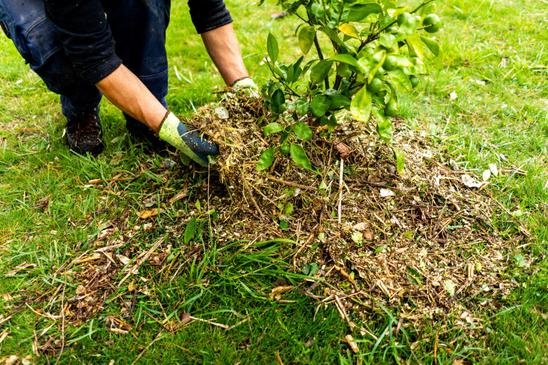 Infos déchets verts