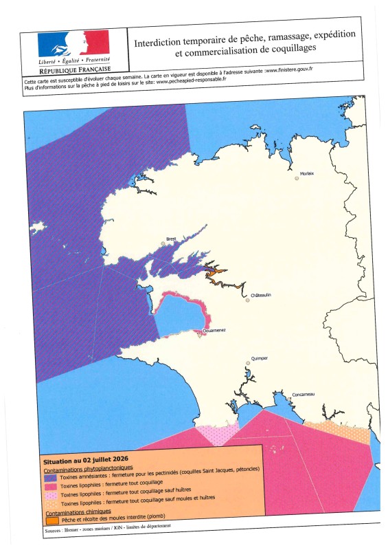 Interdiction temporaire de ramassage de coquillage