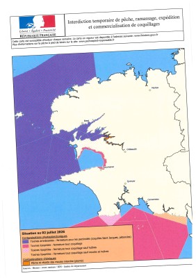 Interdiction temporaire de ramassage de coquillage
